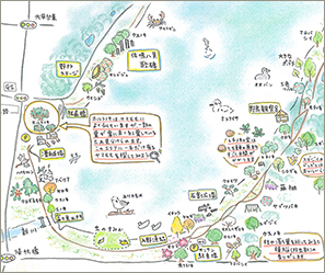 西岸・南岸拡大エリア