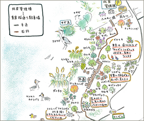 北岸・東岸拡大エリア